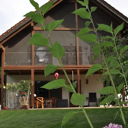 Klatt_gallus Apartment Meissenheim